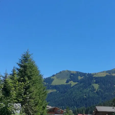 Appartement Zunzer